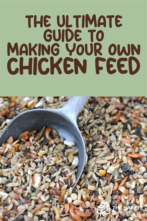 The Ultimate Guide To Making Your Own Chicken Feed Chicken Feed