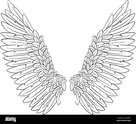 Angel Feather Wings Vector Illustration Stock Vector Image & Art - Alamy