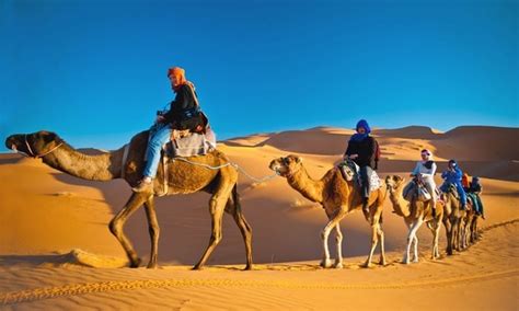 Camel Desert Safari Dubai – Desert Explorer Tourism