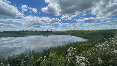 University Of Waterloo Study Finds Polluted Wetlands Are A Great Source