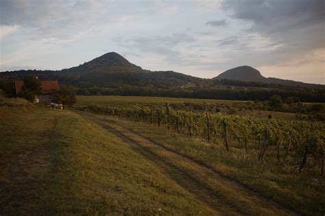 Landschaft Weinberg Landwirtschaft Kostenloses Foto Auf Pixabay Pixabay