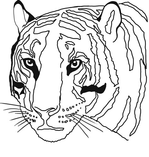 Coloriage Tête de Tigre télécharger et imprimer gratuit