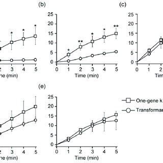 Accumulation Of 3 H D Ala In Intact Cells Cells Were Grown In