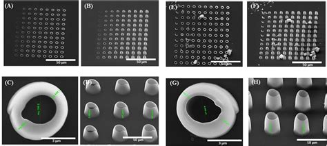 Scanning Electron Micrographs Of Microcage Like Structures Fabricated