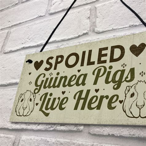 Spoiled Guinea Pigs Live Here Beautiful Handmade Gift Sign For Guinea