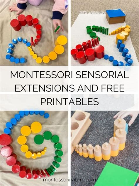 Sensorial Activities Extensions And Free Printables Montessori Nature