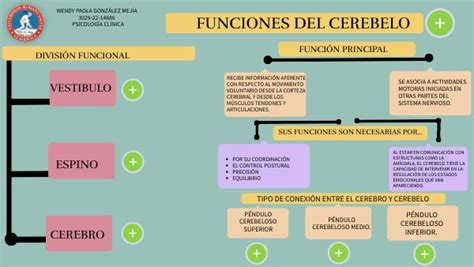 Mapa Conceptual Cerebelo