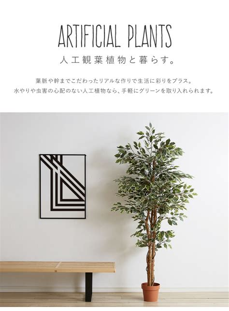 【楽天市場】人工観葉植物 フィカス ハイタイプ ゴムの木 フェイクグリーン インテリアグリーン 造花 観葉植物 人工 フェイク グリーン代引