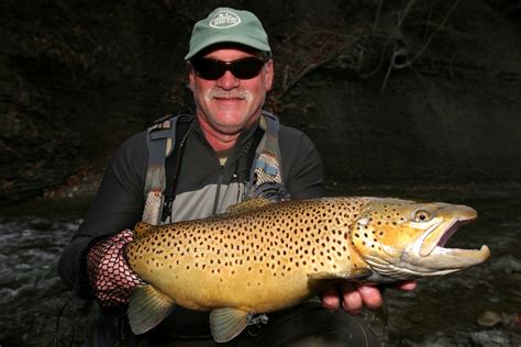 Steelhead Alley Outfitters Lake Erie Fly Fishing Guide Service And