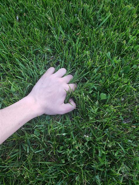 Touching Grass Memes Imgflip