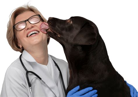 Guide For Cloud Veterinary Software And Its Advantages For