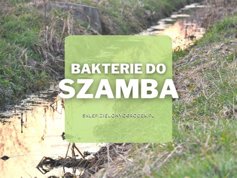 Bakterie do szamba Jakie są najlepsze Ceny rodzaje sklep online