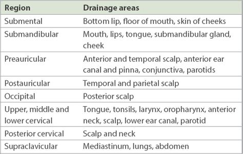 Posterior Cervical Lymph Nodes Swollen Causes