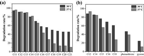 The Effect Of Temperature On Hydrocarbon Degradation By Serratia