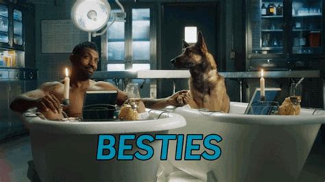 Best Friends Tbs By Angie Tribeca Find Share On GIPHY