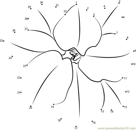 Jasmine Flower Dot To Dot Printable Worksheet Connect The Dots