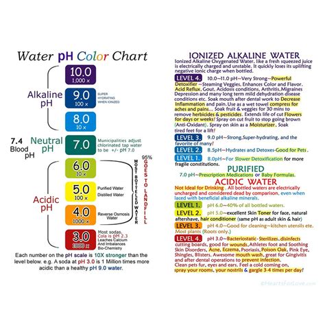 Alkaline Water Infographic and Ph Chart on High Quality - Etsy