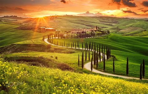 Photo Wallpaper The Sun Valley Italy Tuscany Derevya Gorgeous