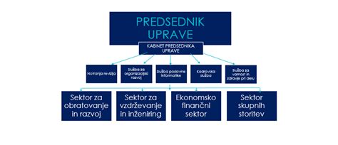 Organiziranost družbe Elektro Celje Elektro Celje