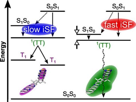 Efficient Intramolecular Singlet Fission In Spiro Linked Heterodimers