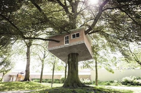 9 Astonishing Treehouses From Around The World Inspiration