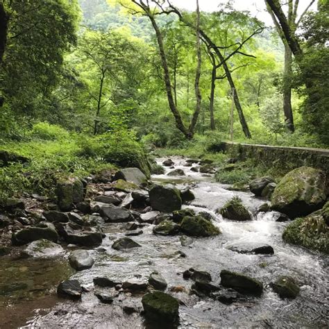 探秘湘西丨走进小溪原始次森林，感受12℃的盛夏！揭开“中南十三省唯一天然资源宝库”神秘面纱！ 猛洞河 小溪 吉首 新浪新闻