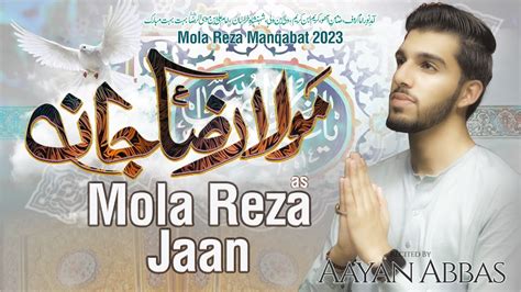 Moula Raza Jan Mola Imam Ali Raza Manqabat Ayaan Abbas Tna