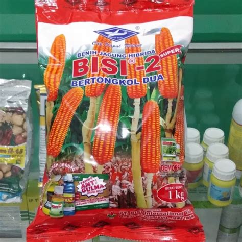 Gambar Jagung Hibrida Bonus