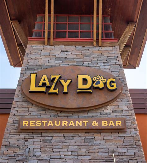 Lazy Dog Restaurant & Bar | 2020