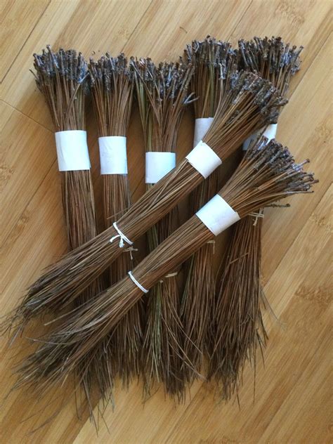 Long Leaf Pine Needles Dried For Weaving Coiling Crafting From