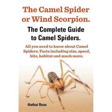 The Camel Spider Or Wind Scorpion The Complete Guide To Camel Spiders