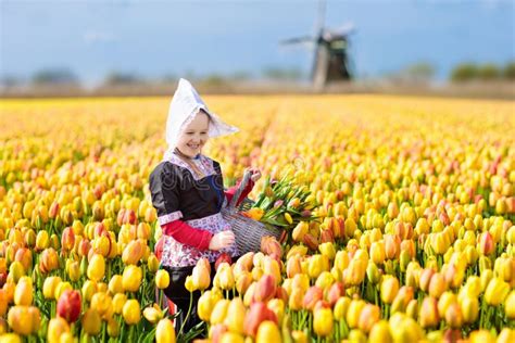 Child In Tulip Flower Field Windmill In Holland Stock Image Image Of