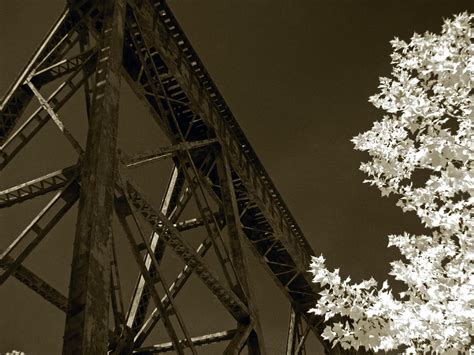 Railroad Trestle Photograph by Ryan Thompson - Fine Art America