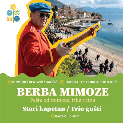 Herceg Novi Turistička organizacija Sve je spremno za BERBU MIMOZE