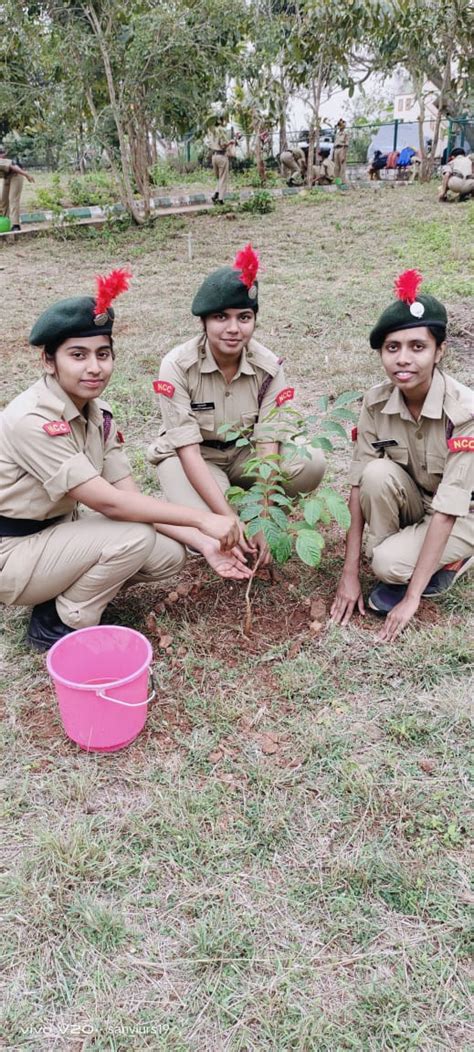 Tree Plantation India Ncc