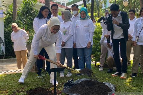 Peringati Hari Lingkungan Hidup Bpom Tanam Tanaman Obat