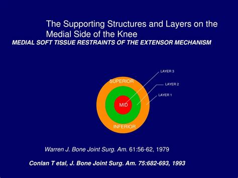 Ppt The Medial Support System Of The Knee Powerpoint Presentation