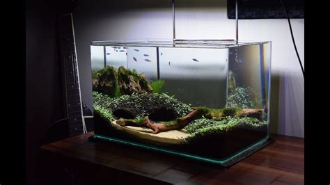 How To Make An Aquascape Cave Theme No Co2 Youtube