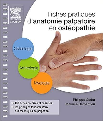 Fiches pratiques danatomie palpatoire en ostéopathie 1re et 2e années