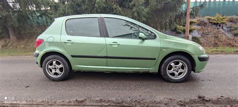 Peugeot 307 1 6 Benzyna Lpg 2001r Pietrzejowice • Olx Pl