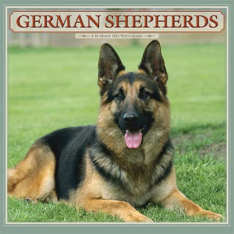 Learn 345 German Words 2013 Wall Calendar