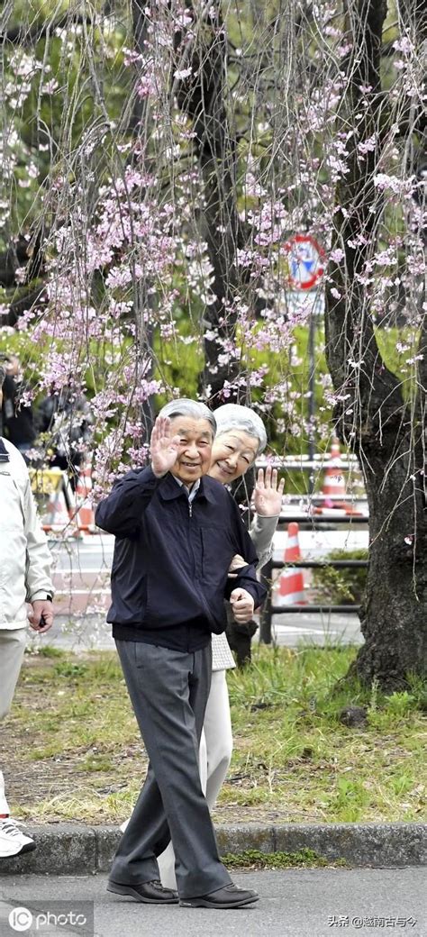 日本櫻花盛開，即將退位的明仁天皇夫婦微服出宮觀賞，與民同樂 每日頭條