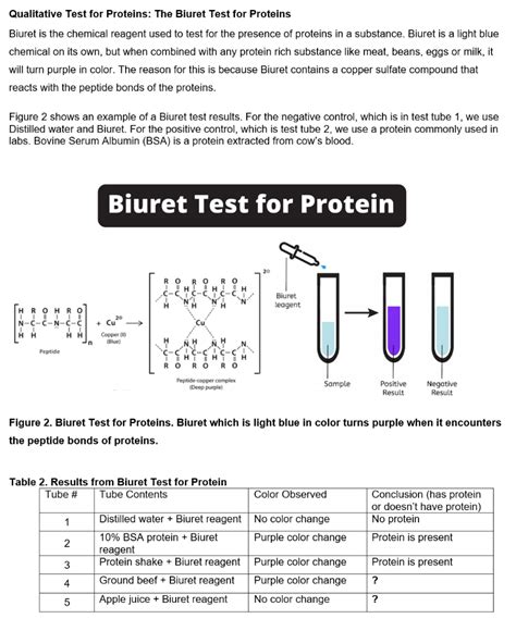 Solved Qualitative Test For Proteins The Biuret Test For Chegg