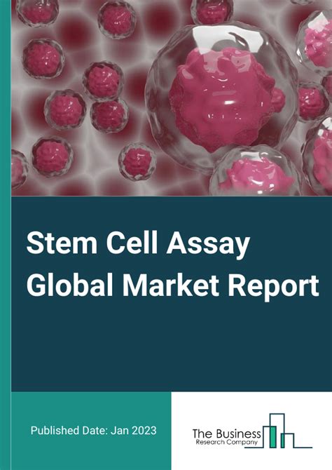 Stem Cell Market Size Trends And Global Forecast To 2032