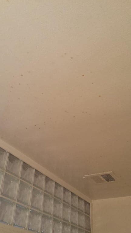 Request How To Remove These Little Mold Spots From My Bathroom Ceiling Howto