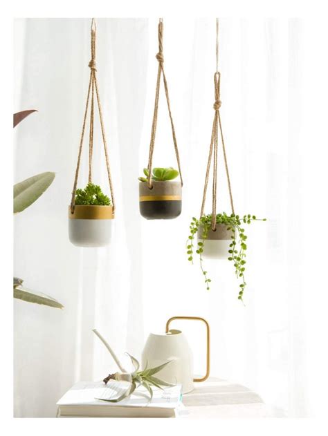 15 Best Hanging Indoor Planters For Your Home Paisley Plants