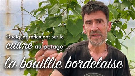 Bouillie Bordelaise Et Cuivre Au Potager Amis Ou Ennemis YouTube