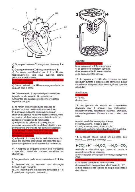 Lista de exercícios GABARITO Biologia frente 1 e 2 3º bim