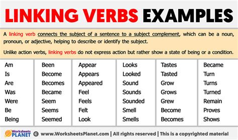 Linking Verbs Examples