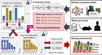 Discrete Distributional Differential Expression D E A Tool For Gene